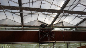 山西忻州繁峙縣佳春農業種植專業合作社游泳館（玻璃連棟智能溫室）